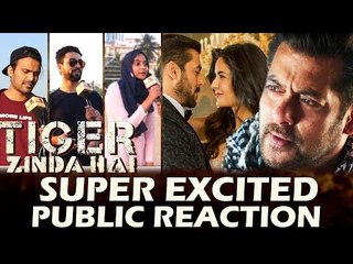 Salman Khan's FANS Super Excited For Tiger Zinda Hai Release