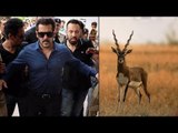 Salman Khan Signs Bail Bond Of Rs. 20000 In Blackbuck Case