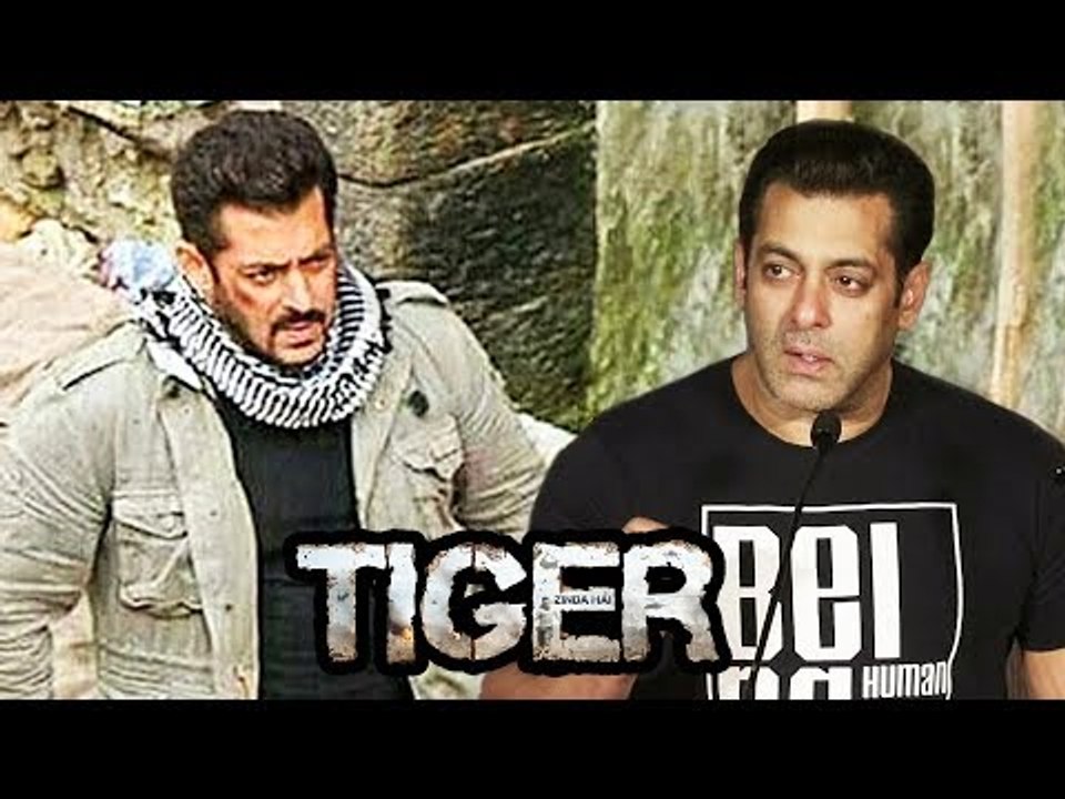 Salman Khan To personally supervise the Tiger Zinda Hai editing