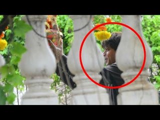 Shahrukh Khan Celebrates Dahi Handi Janamashtami @ Mannat - 2017