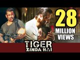 Tiger Zinda Hai CROSSES 28 Million Views | Salman Khan, Katrina Kaif | HUGE RECORDE