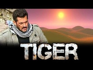 OMG! Salman Khan Gets HEAT STROKE ATTACK During Tiger Zinda Hai Shoot