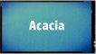 Significado Nombre ACACIA - ACACIA Name Meaning