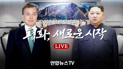 2018 남북정상회담 - 평화, 새로운 시작