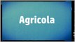 Significado Nombre AGRICOLA - AGRICOLA Name Meaning