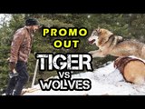 Salman's Tiger Zinda Hai Promo Release | Tiger Vs Wolf | Katrina Kaif