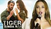 lulia Vantur Speaks On Salman's Tiger Zinda Hai During Masala Awards 2017