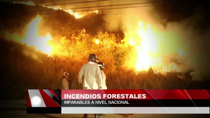 Incendios forestales imparables a nivel nacional
