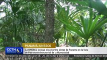 UNESCO declara sombrero pintao de Panamá Patrimonio Inmaterial de la Humanidad