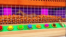 Learn Colors for Children with Colorful Chicks Xylophone #h | Funny Animals Colors Video HAHA Toys