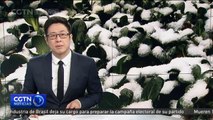 El Centro Meteorológico Nacional pronostica nevadas intensas en la región central de China