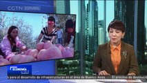 Futuros de la manzana contribuirán a la campaña de erradicación de pobreza en China