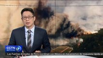 Autoridades reportan al menos diez víctimas mortales en California a causa de un incendio forestal