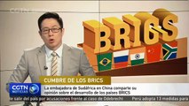 La embajadora de Sudáfrica en China comparte su opinión sobre el desarrollo de los países BRICS