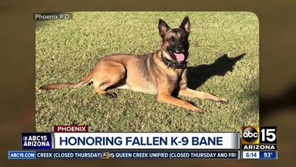 Phoenix police, community gather to honor fallen K-9 Bane