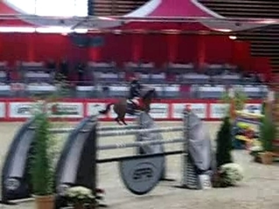 salon du cheval