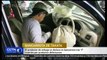 El productor de airbags se declara en bancarrota tras 17  muertes por productos defectuosos