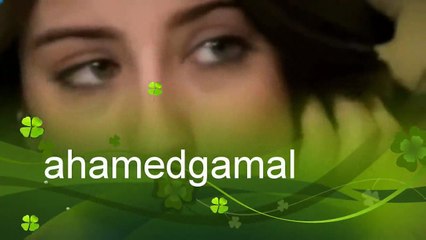 اغنية رومانسية عيد الحب امير وفريحة