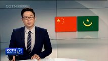 El canciller chino se reúne con el presidente de Mauritania