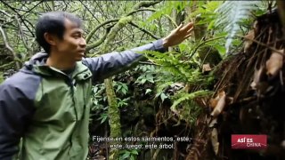 Cuevas de Guangxi, serie de documentales. Capítulo 2