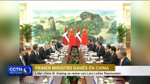 Líder chino Xi Jinping se reúne con Lars Lokke Rasmussen