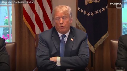 Trump Says Michael Cohen Only Did 'A Tiny, Tiny Little Fraction' Of Work For Me