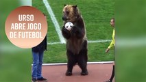 Urso em uma partida de futebol: entretenimento ou crueldade?