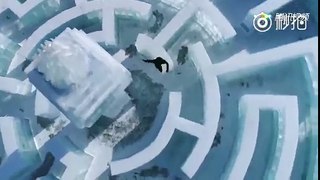 Freerunner Jason Paul recorre la ciudad de hielo en China