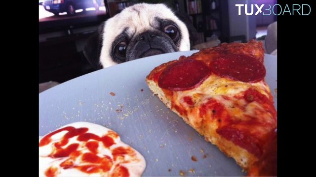 Les images insolites du jour #1