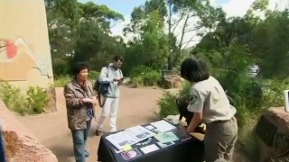 Un parque australiano contrata trabajadores que hablen chino debido al aumento de turistas asiáticos