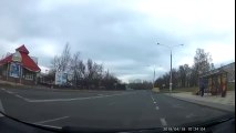 Road Rage... d'oiseaux au milieu de la route en Russie !