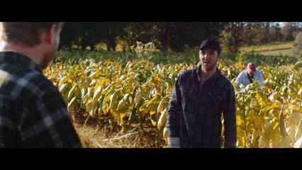 Harrow (S01E08) Season 1 Episode 8 (Full Online)