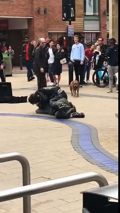 Deux idiots saouls se bagarrent et se font séparer par un chien