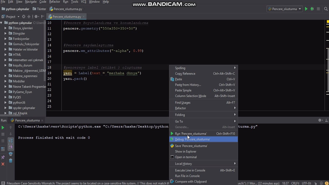 Python 3 Tkinter Pencere Yazı Yazma Label oluşturma  6. Ders