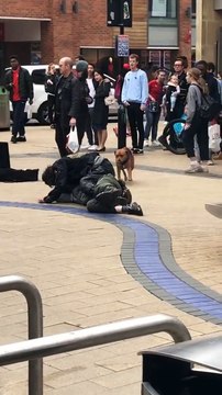 Un chien tente de s'accoupler avec des hommes saouls