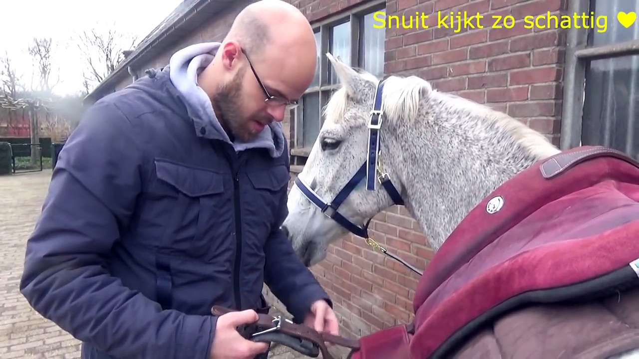 ALS MIJN MAN GAAT PAARDRIJDEN… | snuitable