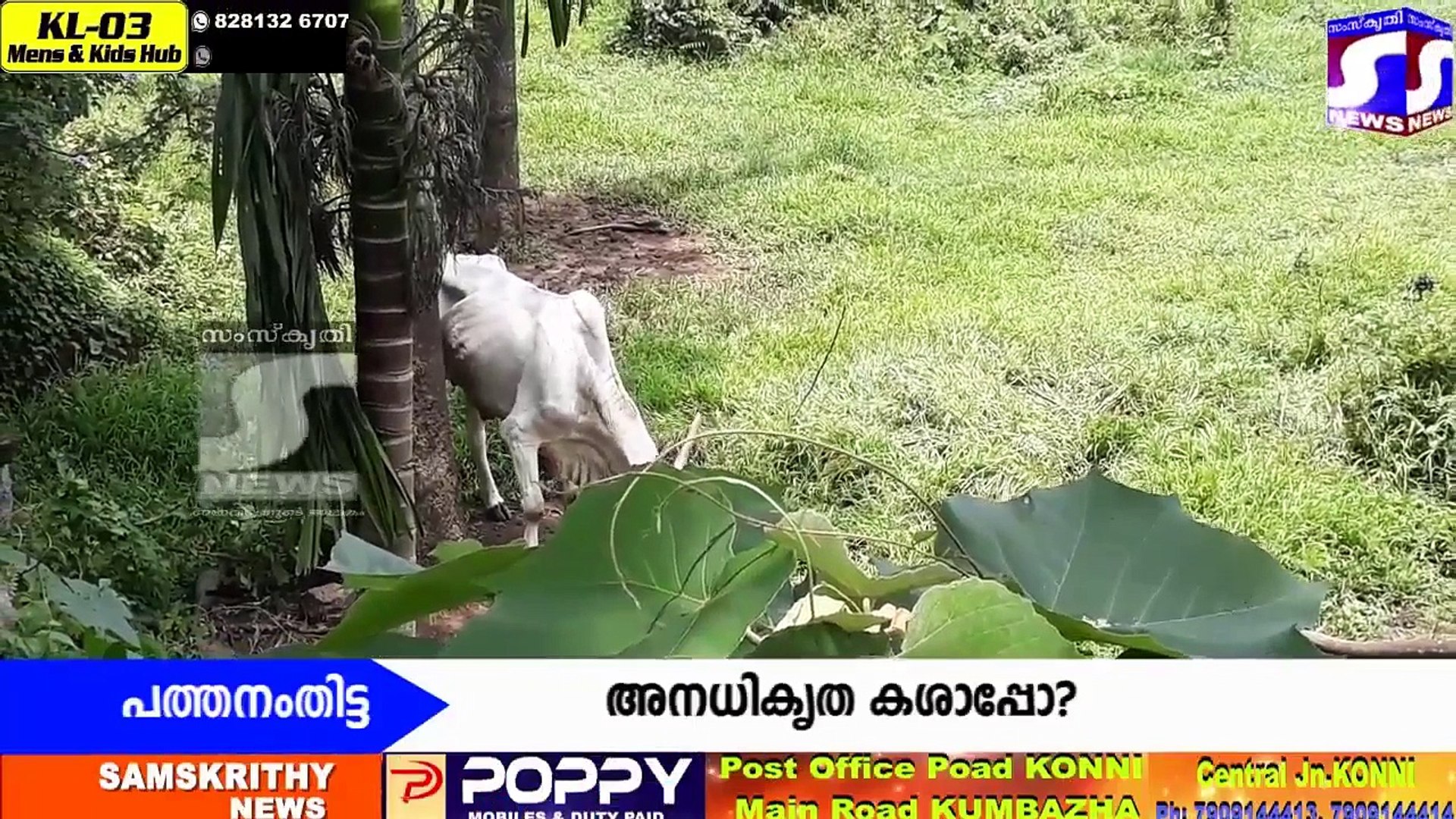 latest news pathanamthitta
