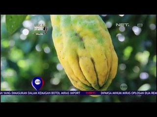 Jeruk Tangan BUDDHA NET.CJ -NET10