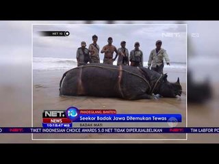 Seekor Badak Jawa Ditemukan Tewas -NET10