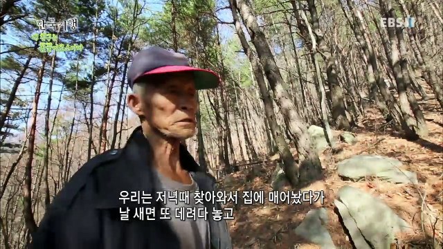 한국기행 - Korea travel_내 친구는 동물이로소이다 5부 그럼에도 다시 봄_#001