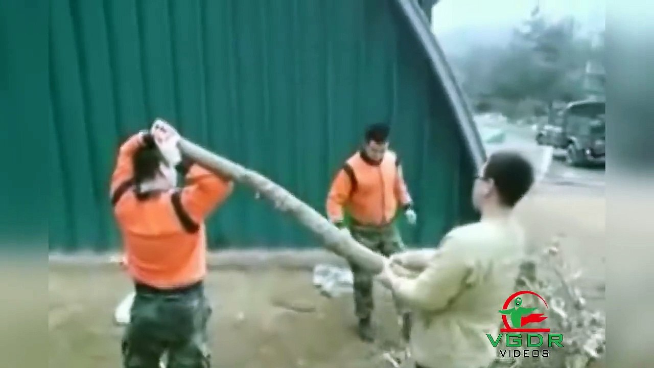 Videos Graciosos | Videos de Risa | Si te ríes Pierdes | Videos Para Morirse de la Risa - part 16