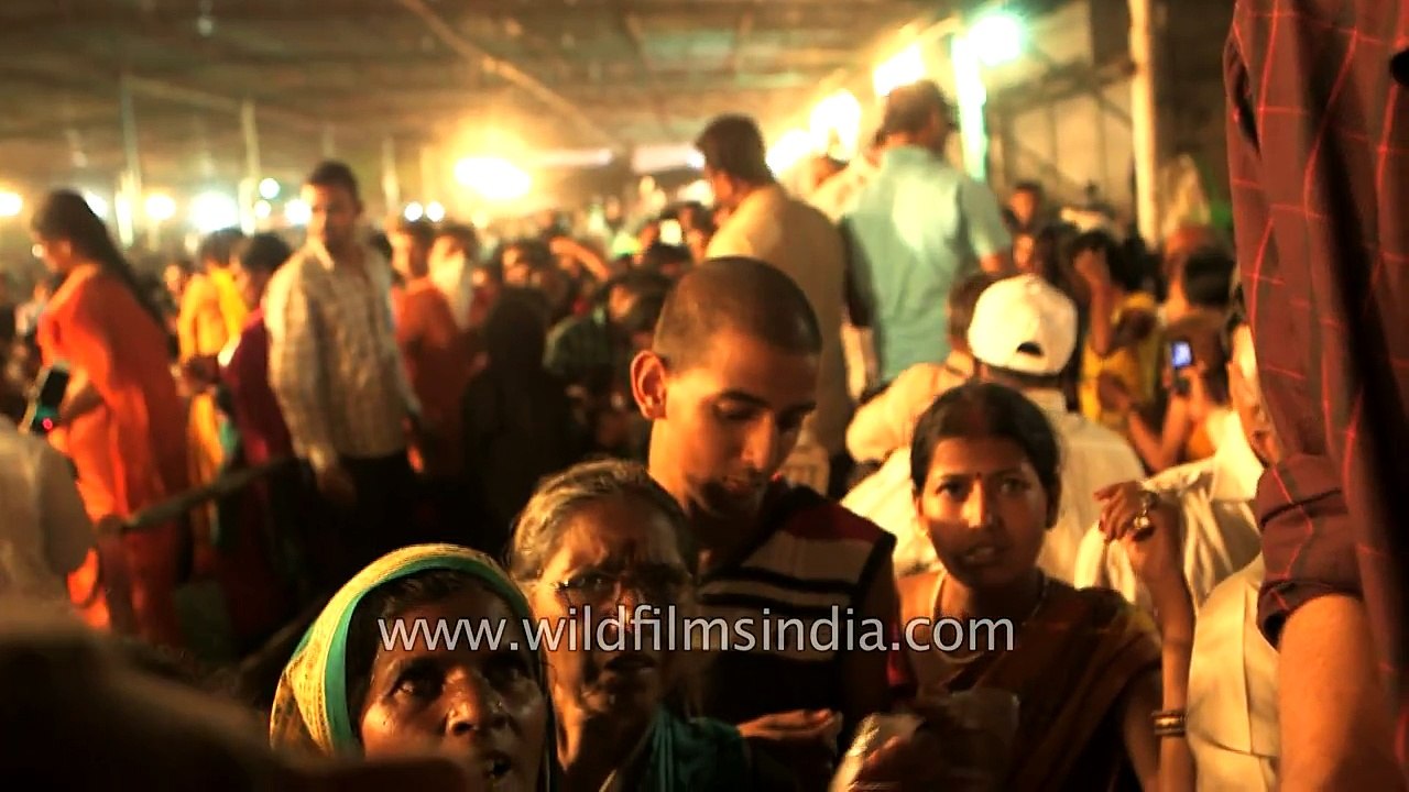 Swallowing of live fish can cure asthama