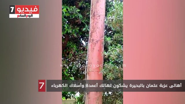 أهالى عزبة عتمان بالبحيرة يشكون تهالك أعمدة وأسلاك الكهرباء
