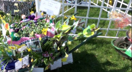 Welsh Schoolkids Helping to Save The World