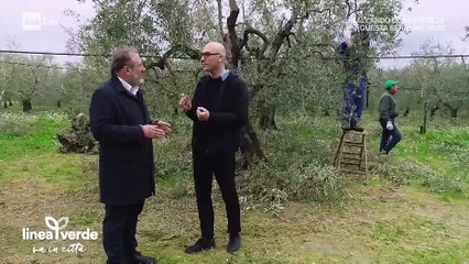 Download Video: La Burrata di Andria su Rai Uno - Linea Verde va in città del 28 aprile 2018