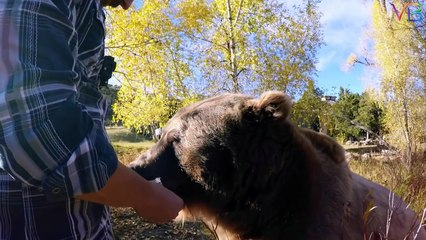 Friendly Dangerous Animals as Pets / Unusual Animals