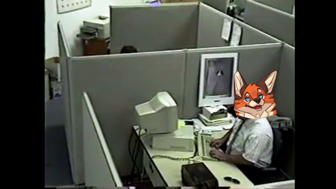 Reaction von Rüdi videos