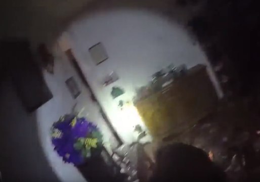 Burglary Suspect Shot Dead After Throwing Knife During Standoff With Police