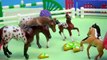 Breyer Horse Movie Video Series - Back Together Part 2 - Sleep Over - Mini Whinnies Horses