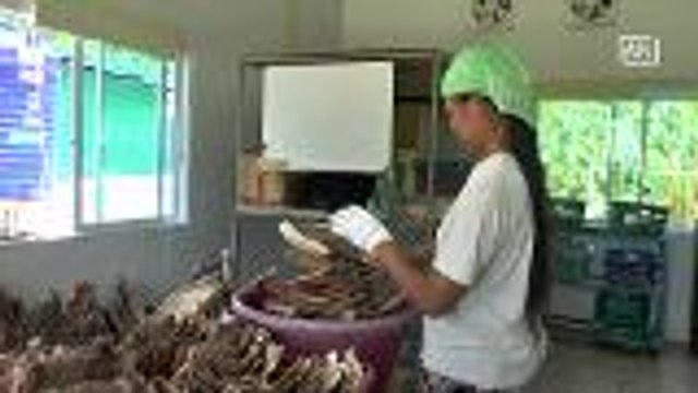 ASEAN Scoop: Food containers made of nut plam trees leaves selling hot